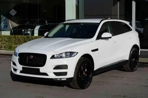 Used JAGUAR F-PACE Diesel 2018 Ad 