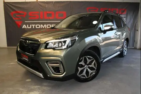 Used SUBARU FORESTER Petrol 2020 Ad 