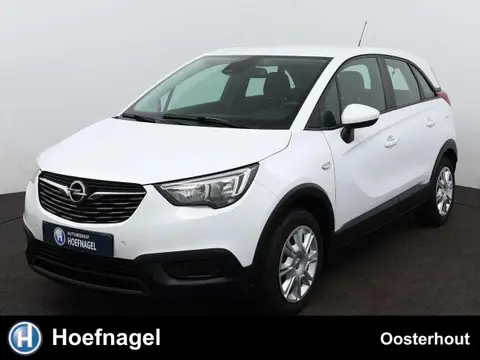 Used OPEL CROSSLAND Petrol 2020 Ad 