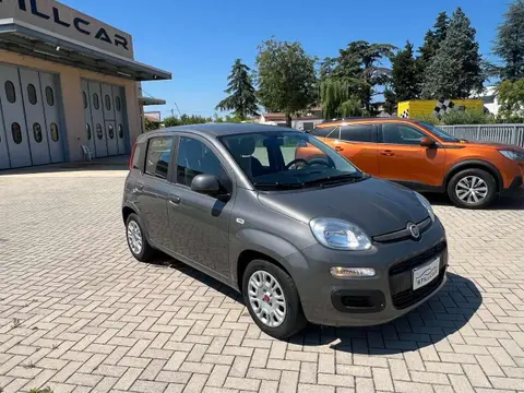 Used FIAT PANDA Hybrid 2022 Ad 