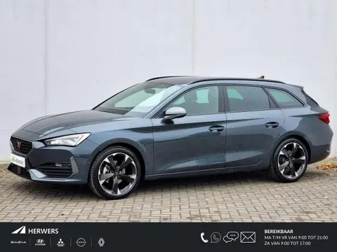 Used CUPRA LEON Petrol 2023 Ad 