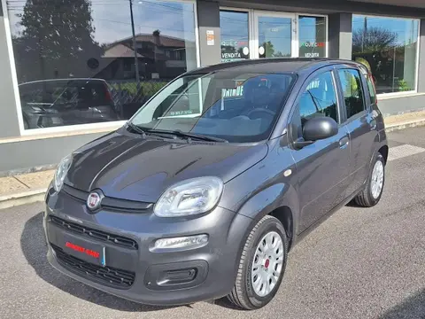 Annonce FIAT PANDA Essence 2017 d'occasion 