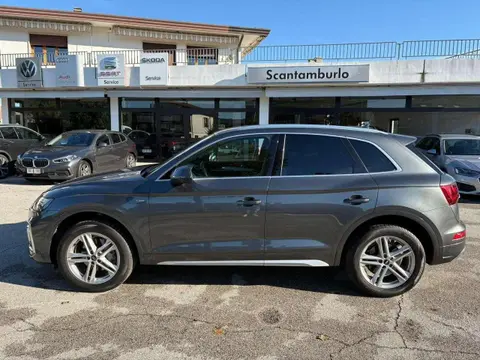 Used AUDI Q5 Hybrid 2022 Ad 