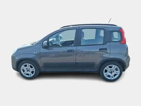 Used FIAT PANDA Hybrid 2023 Ad 