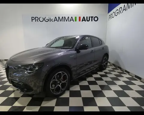 Used ALFA ROMEO STELVIO Diesel 2024 Ad 