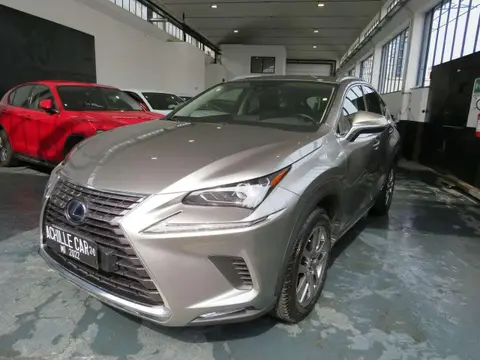 Annonce LEXUS NX Hybride 2020 d'occasion 