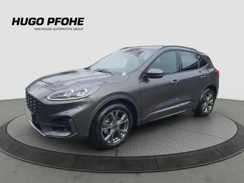 Used FORD KUGA Petrol 2023 Ad 