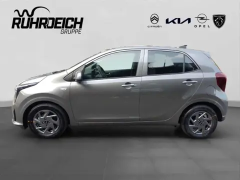 Annonce KIA PICANTO Essence 2024 d'occasion 