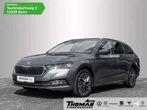 Annonce SKODA OCTAVIA Diesel 2023 d'occasion 