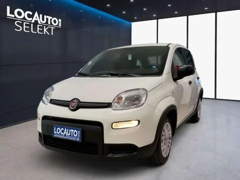 Annonce FIAT PANDA GPL 2022 d'occasion 