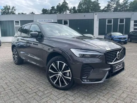 Annonce VOLVO XC60 Diesel 2023 d'occasion 