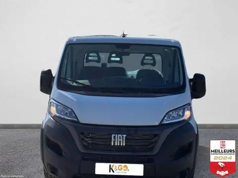 Annonce FIAT DUCATO Diesel 2024 en leasing 