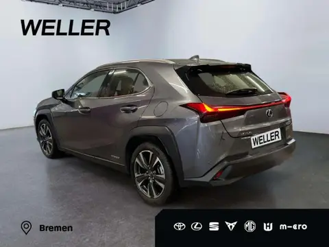 Used LEXUS UX Hybrid 2019 Ad 