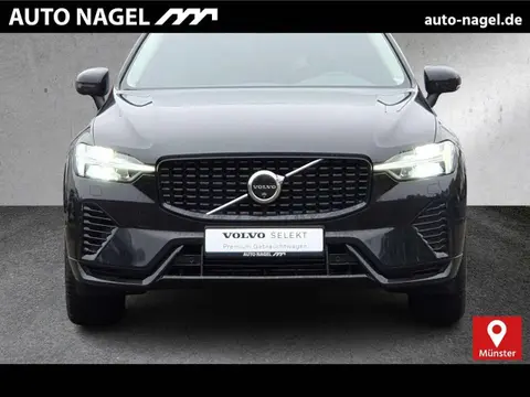 Annonce VOLVO XC60 Hybride 2024 d'occasion 