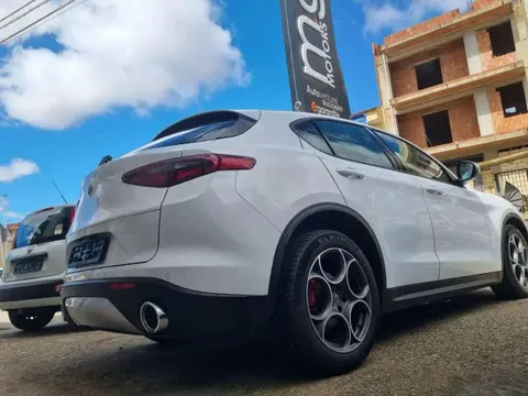 Used ALFA ROMEO STELVIO Diesel 2021 Ad 