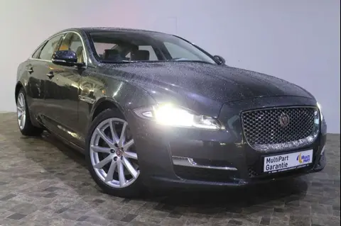 Annonce JAGUAR XJ Diesel 2017 d'occasion 