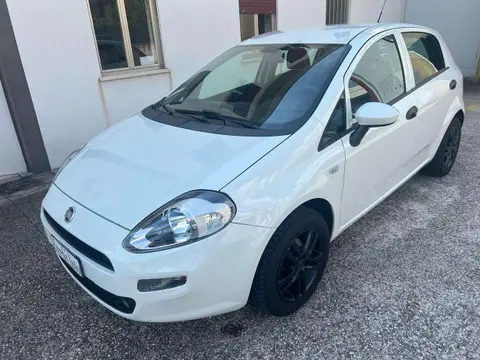 Annonce FIAT PUNTO Diesel 2015 d'occasion 