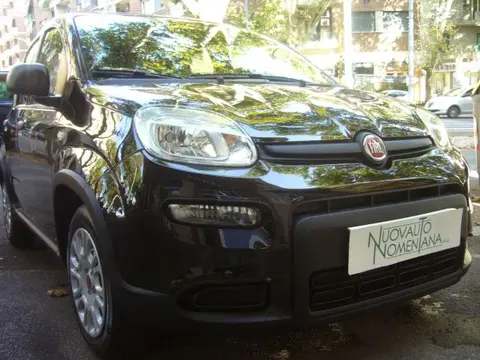 Used FIAT PANDA Hybrid 2024 Ad 