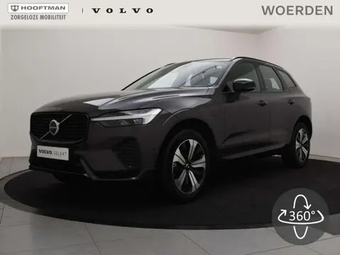 Annonce VOLVO XC60 Hybride 2024 d'occasion 