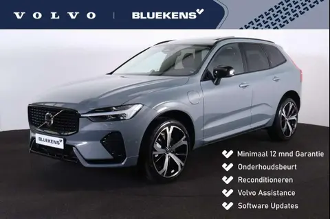 Used VOLVO XC60 Hybrid 2024 Ad 