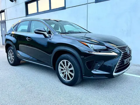 Used LEXUS NX Hybrid 2021 Ad 