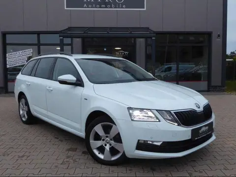 Annonce SKODA OCTAVIA Diesel 2019 d'occasion 