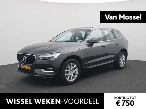 Used VOLVO XC60 Hybrid 2018 Ad 