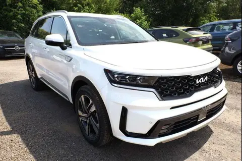 Annonce KIA SORENTO Hybride 2024 d'occasion 