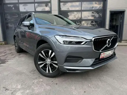 Used VOLVO XC60 Petrol 2019 Ad 