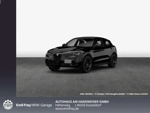 Annonce ALFA ROMEO STELVIO Essence 2024 d'occasion 