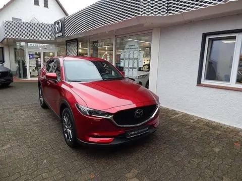 Used MAZDA CX-5 Petrol 2020 Ad 