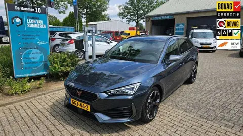 Used CUPRA LEON Hybrid 2023 Ad 