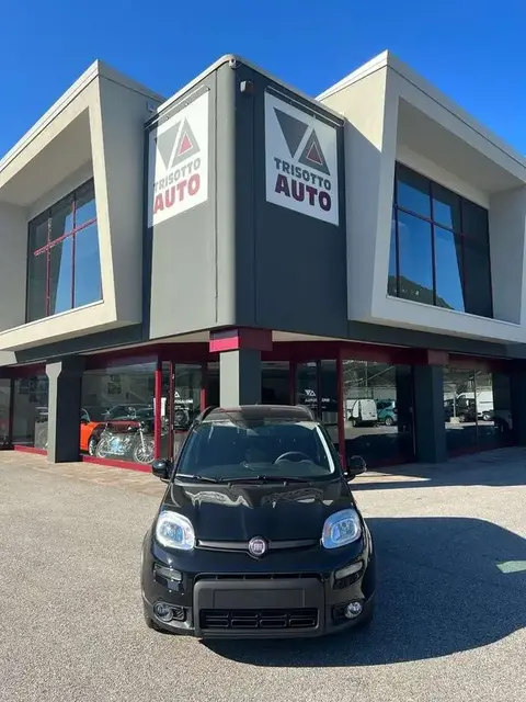 Annonce FIAT PANDA Hybride 2023 d'occasion 