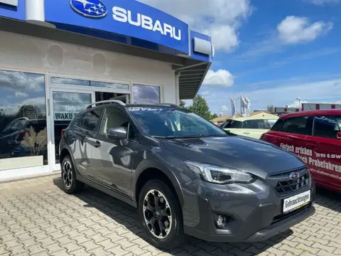 Used SUBARU XV Petrol 2022 Ad 