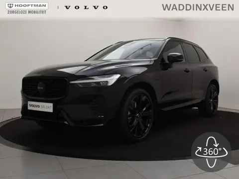 Used VOLVO XC60 Hybrid 2024 Ad 