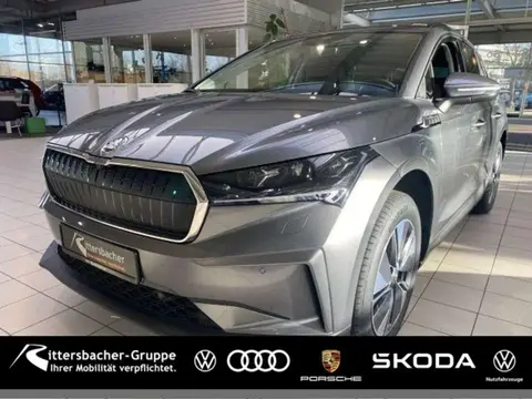 Annonce SKODA ENYAQ Électrique 2024 d'occasion 