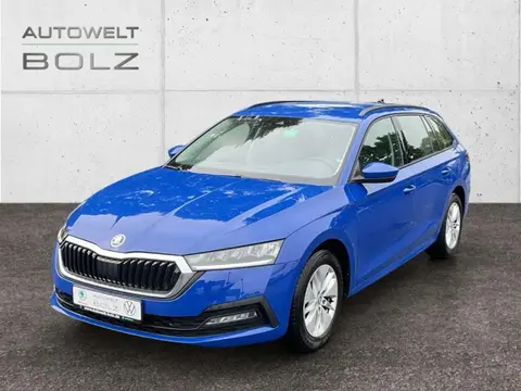 Used SKODA OCTAVIA Petrol 2021 Ad 