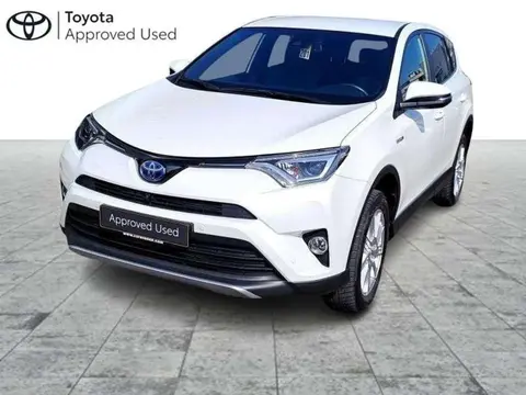 Used TOYOTA RAV4 Hybrid 2017 Ad Belgium