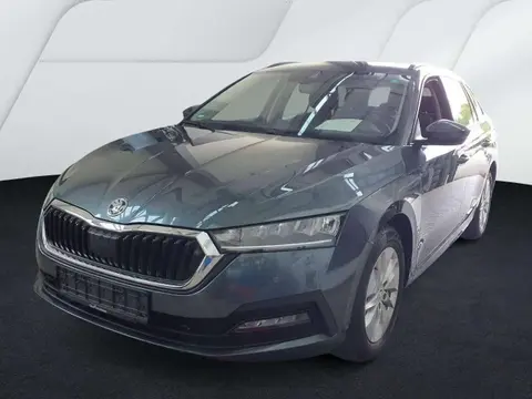 Used SKODA OCTAVIA Diesel 2021 Ad 