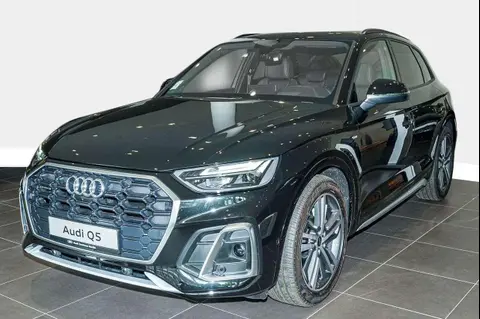 Used AUDI Q5 Petrol 2024 Ad Germany