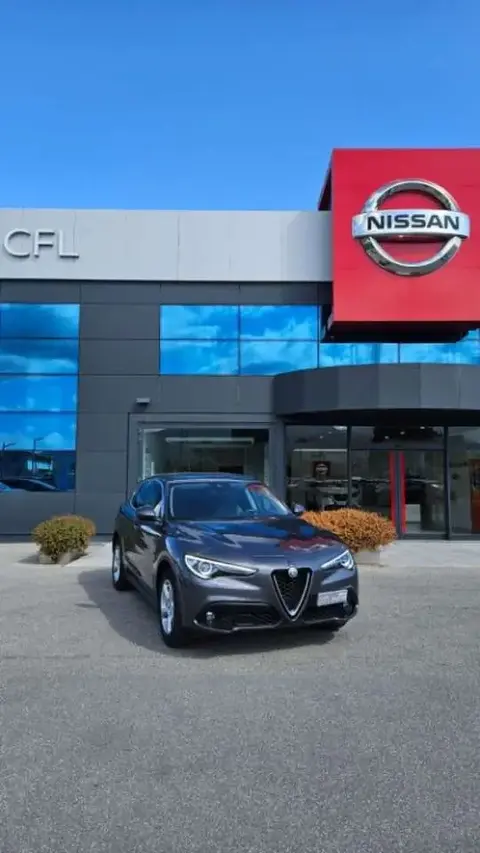 Used ALFA ROMEO STELVIO Diesel 2018 Ad 