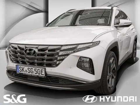 Annonce HYUNDAI TUCSON Hybride 2024 d'occasion 