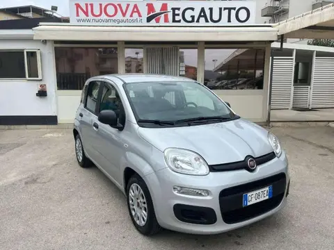 Used FIAT PANDA Hybrid 2021 Ad 