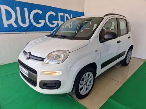 Used FIAT PANDA  2016 Ad 