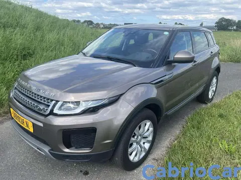 Used LAND ROVER RANGE ROVER EVOQUE Petrol 2018 Ad 