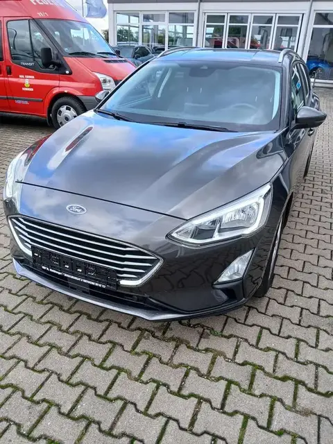 Used FORD FOCUS Petrol 2019 Ad 