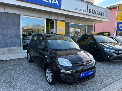 Used FIAT PANDA Petrol 2020 Ad 