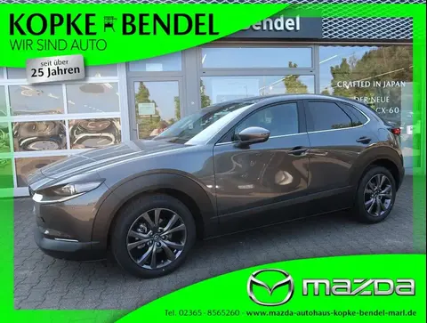 Annonce MAZDA CX-30 Hybride 2024 d'occasion Allemagne