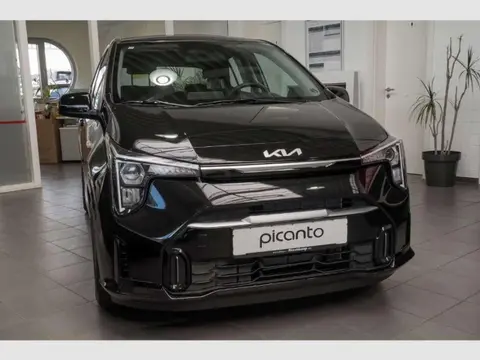 Used KIA PICANTO Petrol 2024 Ad 