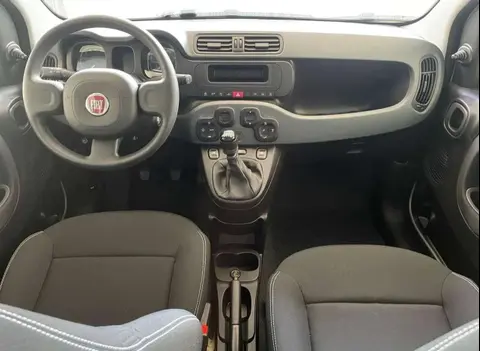 Used FIAT PANDA Hybrid 2024 Ad 